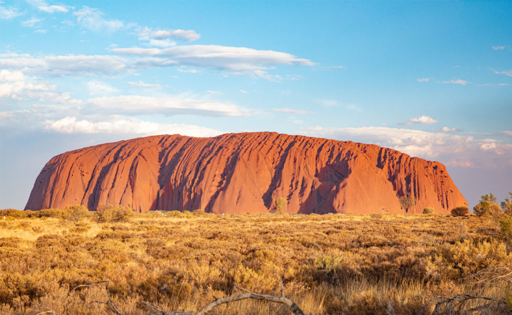 emu run tours uluru