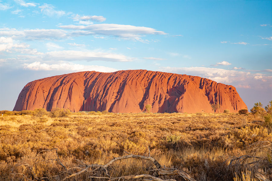 emu run tours uluru